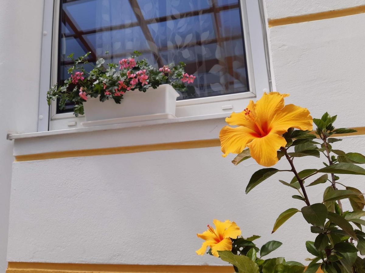 Thermal Garden Mosonmagyaróvár Eksteriør billede